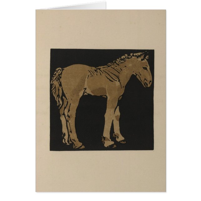 Standing Colt (Voorkant)