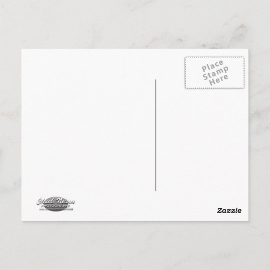 STANDING DEER BRIEFKAART (Achterkant)
