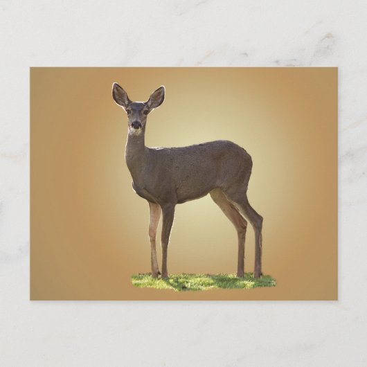 STANDING DEER BRIEFKAART (Voorkant)