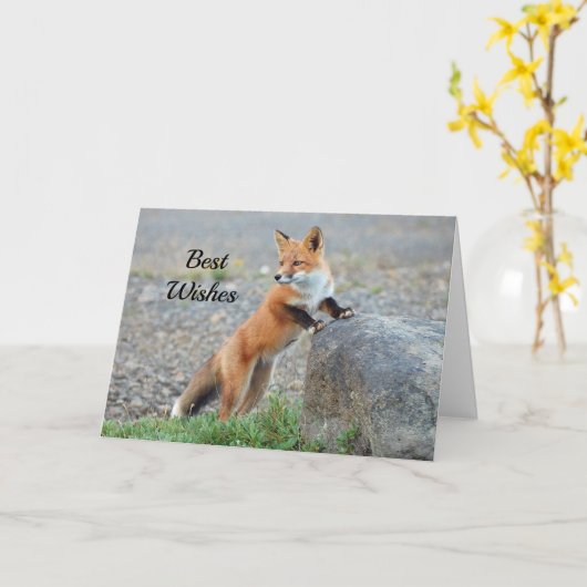Standing Red Fox Gefeliciteerd Wedding Kaart (Gele Bloem)
