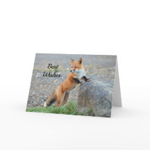 Standing Red Fox Gefeliciteerd Wedding