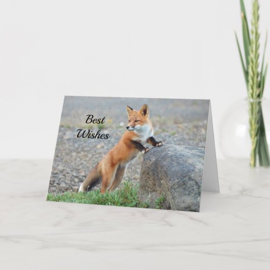 Standing Red Fox Gefeliciteerd Wedding Kaart (Voorkant)