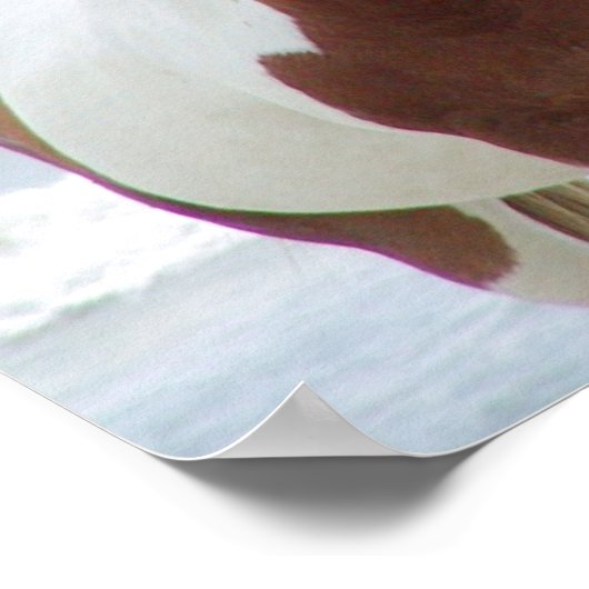 Standing Together Poster (Hoek)