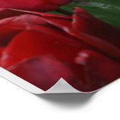 Standout Poster (Hoek)