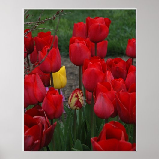 Standout Poster (Voorkant)