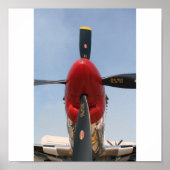 Stang Poster (Voorkant)