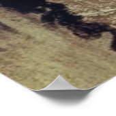 Stanislaw Wyspianski Self Portrait, 1902 Poster (Hoek)