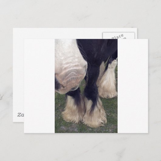 Stanley Briefkaart (Voorkant / Achterkant)