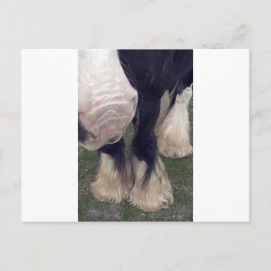 Stanley Briefkaart (Voorkant)