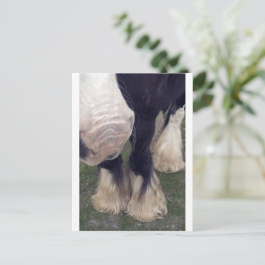 Stanley Briefkaart (Staand voorkant)