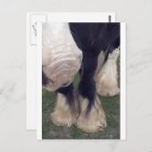 Stanley Briefkaart (Voorkant / Achterkant)