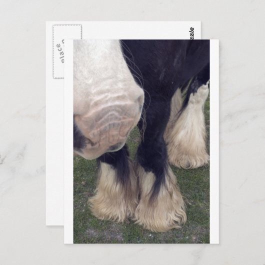 Stanley Briefkaart (Voorkant / Achterkant)