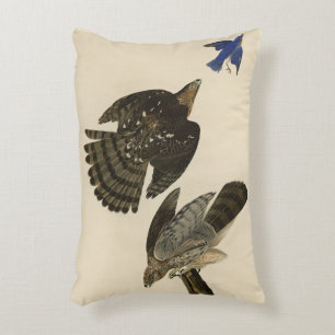 Stanley (Cooper's) Hawk Audubon's Birds of America Accent Kussen