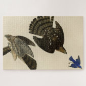 Stanley (Cooper's) Hawk Audubon's Birds of America Legpuzzel (Horizontaal)