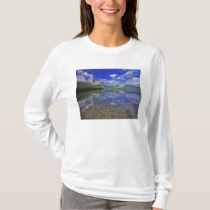 Stanley Lake in het Sawtandgebergte van Idaho T-shirt