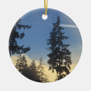 Stanley Park, bossen, marienevel mist die binnenro Keramisch Ornament