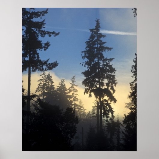 Stanley Park, bossen, marienevel mist die binnenro Poster (Voorkant)