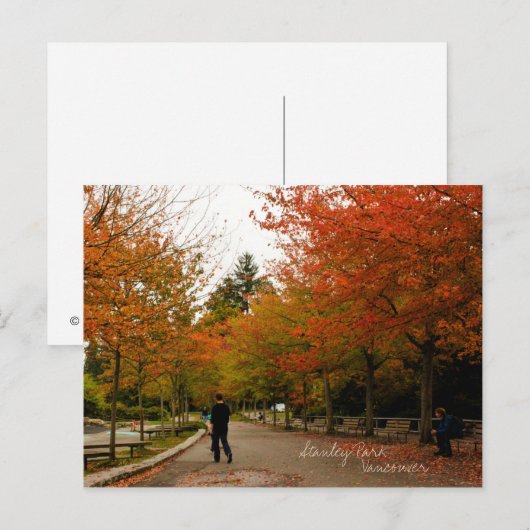 Stanley Park Briefkaart (Voorkant / Achterkant)