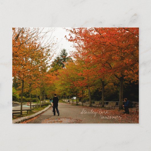 Stanley Park Briefkaart (Voorkant)