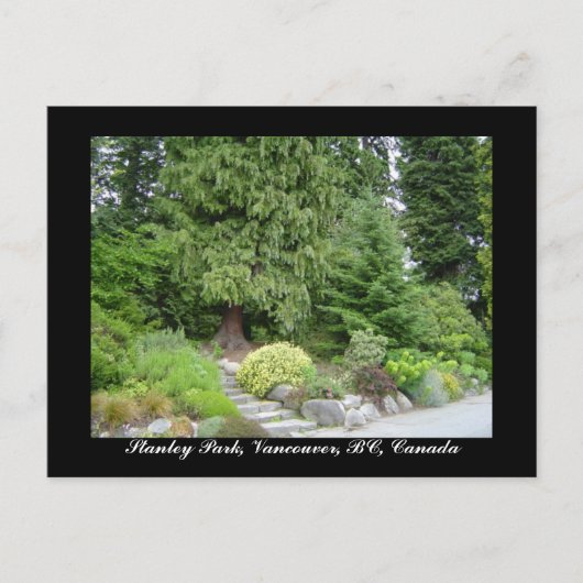 Stanley Park, Vancouver, BC ansichtkaart Briefkaart (Voorkant)