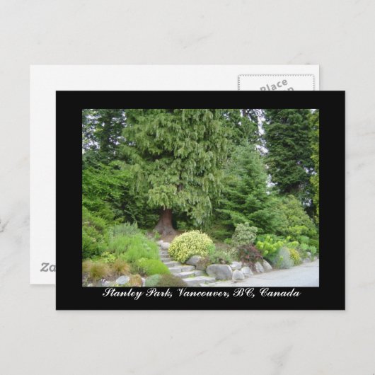 Stanley Park, Vancouver, BC briefkaart (Voorkant / Achterkant)
