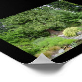 Stanley Park, Vancouver BV. Poster (Hoek)