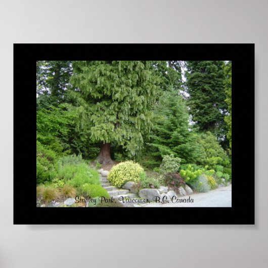 Stanley Park, Vancouver BV. Poster (Voorkant)