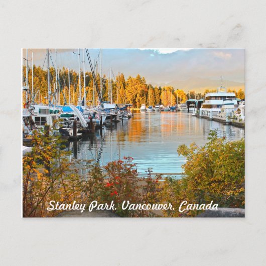 Stanley Park Waterside Briefkaart (Voorkant)