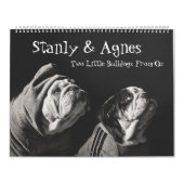 Stanly & Agnes - twee kleine bulletdogs van OZ Kalender (Hoes)