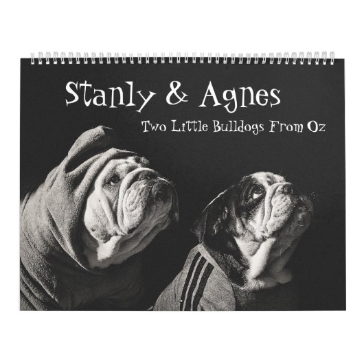 Stanly & Agnes - twee kleine bulletdogs van OZ Kalender (Hoes)