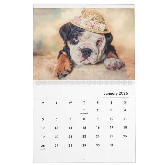 Stanly & Agnes - twee kleine bulletdogs van OZ Kalender (Jan 2026)
