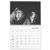 Stanly & Agnes - twee kleine bulletdogs van OZ Kalender (Mar 2026)