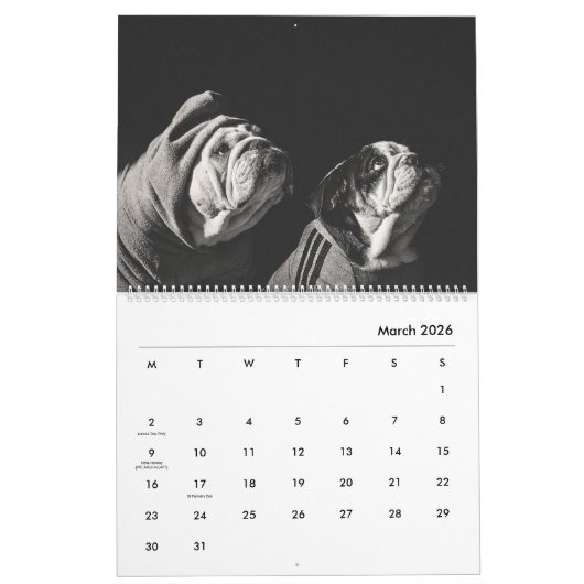 Stanly & Agnes - twee kleine bulletdogs van OZ Kalender (Mar 2026)