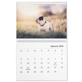 Stanly & Agnes - twee kleine bulletdogs van OZ Kalender (Feb 2026)