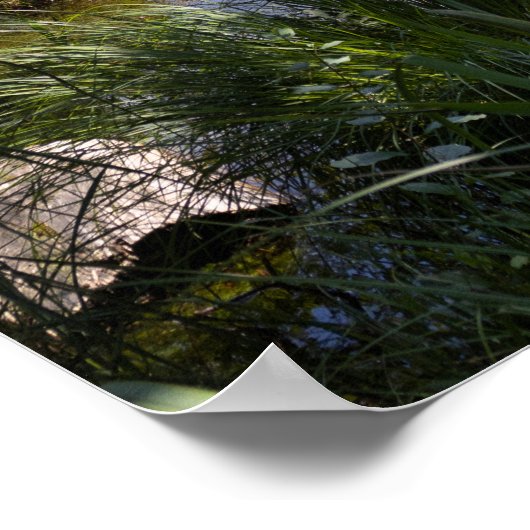 Stanserhorn en Gerzensee, Zwitserland Poster (Hoek)