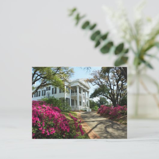 Stanton Hall - Spring in Natchez, Mississippi Briefkaart (Staand voorkant)