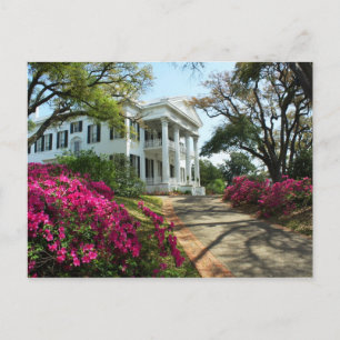 Stanton Hall - Spring in Natchez, Mississippi Briefkaart