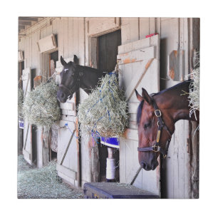 Stanwyck door Empire Maker Tegeltje