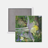 Stanza di Vedere Magneet (Voorkant / Achterkant)