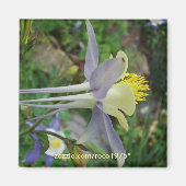 Stanza di Vedere Magneet (Voorkant)