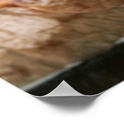 Stap 3 poster (Hoek)