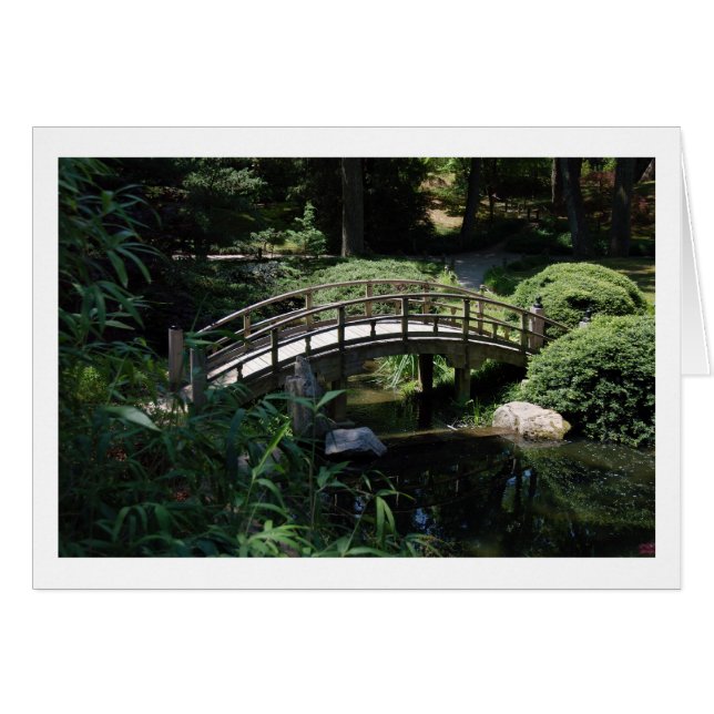 Stap Bridge (Voorkant Horizontaal)