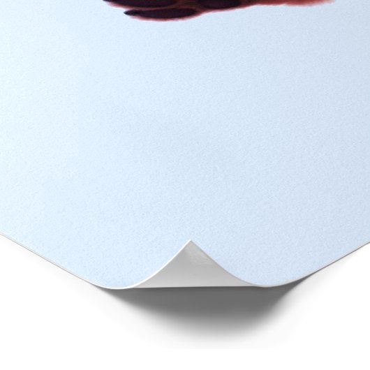 Stap in het avontuur poster (Hoek)