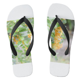 Stap in stijl teenslippers