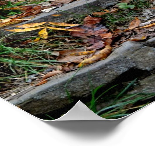 Stap naar het Appalachian Trail Poster (Hoek)