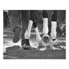 Stap Nicely Foto Afdruk