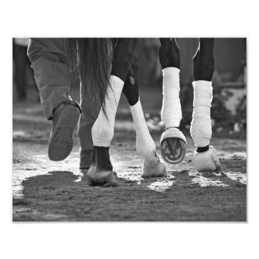 Stap Nicely Foto Afdruk (Voorkant)