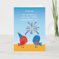 Stap Zoon Eerste 4 juli Schattige Vogels Vuurwerk