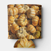 Stapel kleine pompoenen. blikjeskoeler (Achterkant)