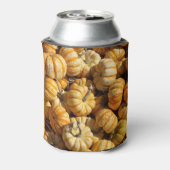 Stapel kleine pompoenen. blikjeskoeler (Blikje Achterkant)